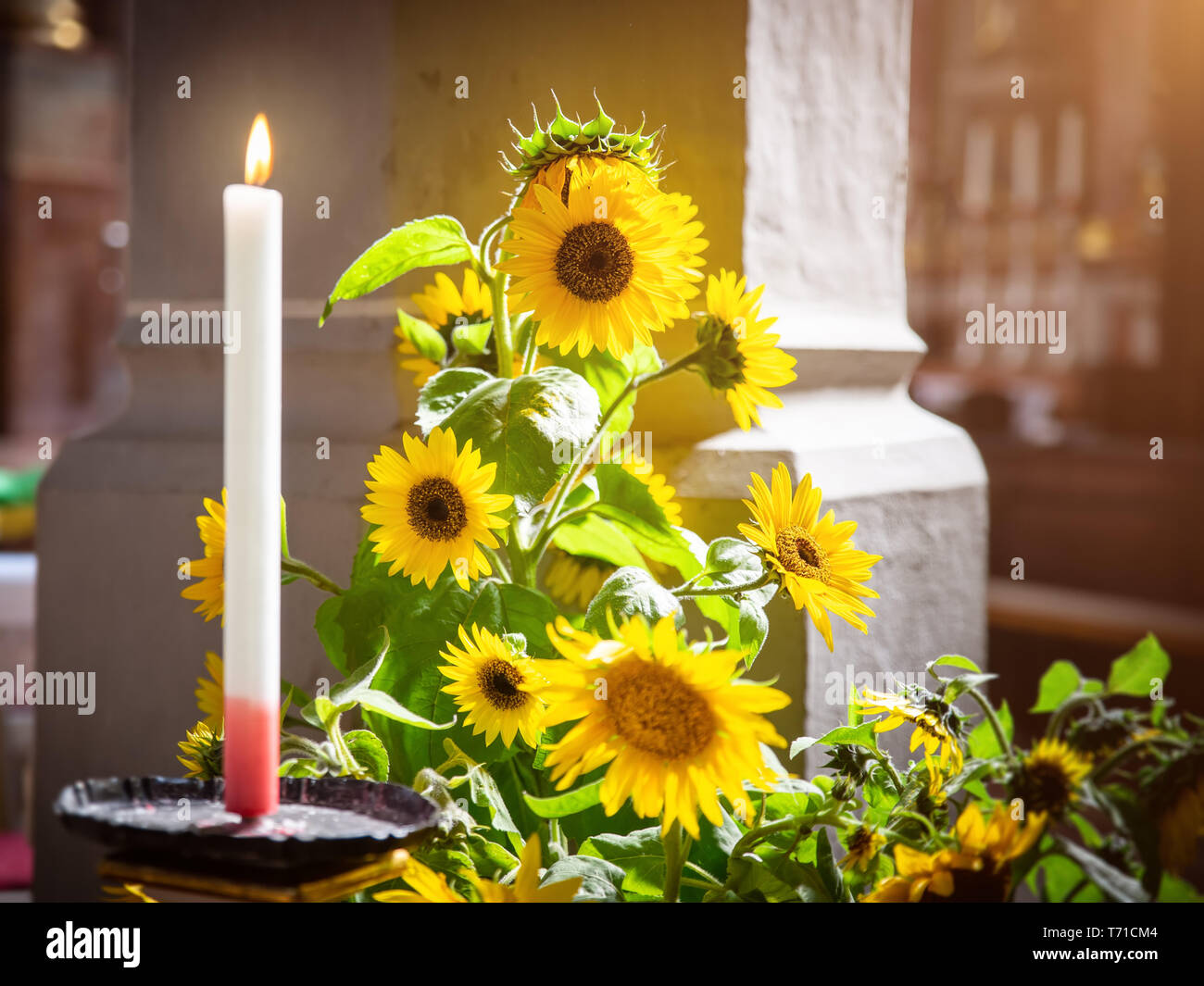 Girasoli con una candela che brucia in una chiesa Foto Stock