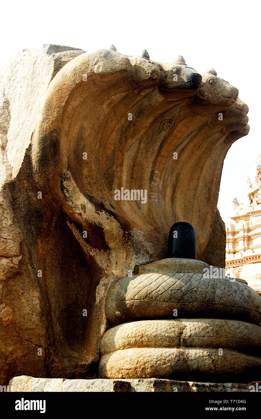 Statua di Pietra di Naga Lingeshwara a Veerabhadreshwara Temople in Lepakshi, Andhra Pradesh, India. Asia Foto Stock