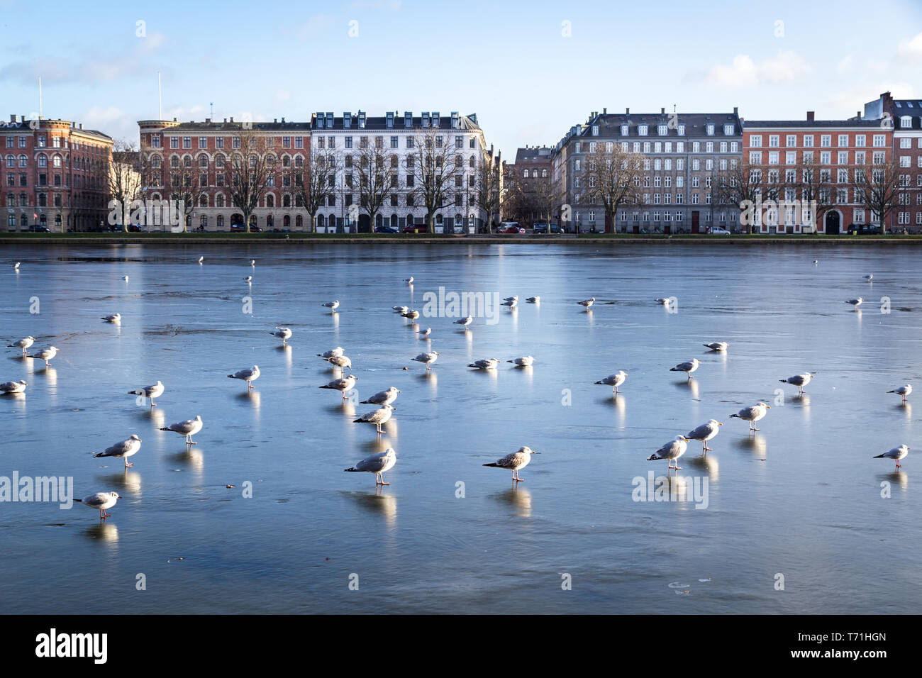 Vista sui laghi di Copenhagen, Danimarca Foto Stock