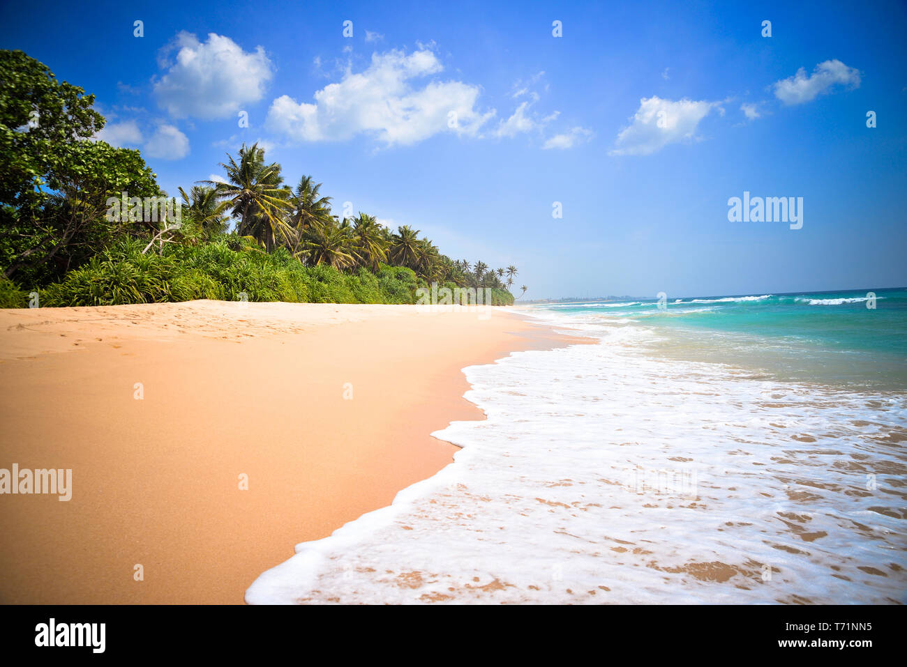 Spiaggia tropicale in Sri Lanka Foto Stock