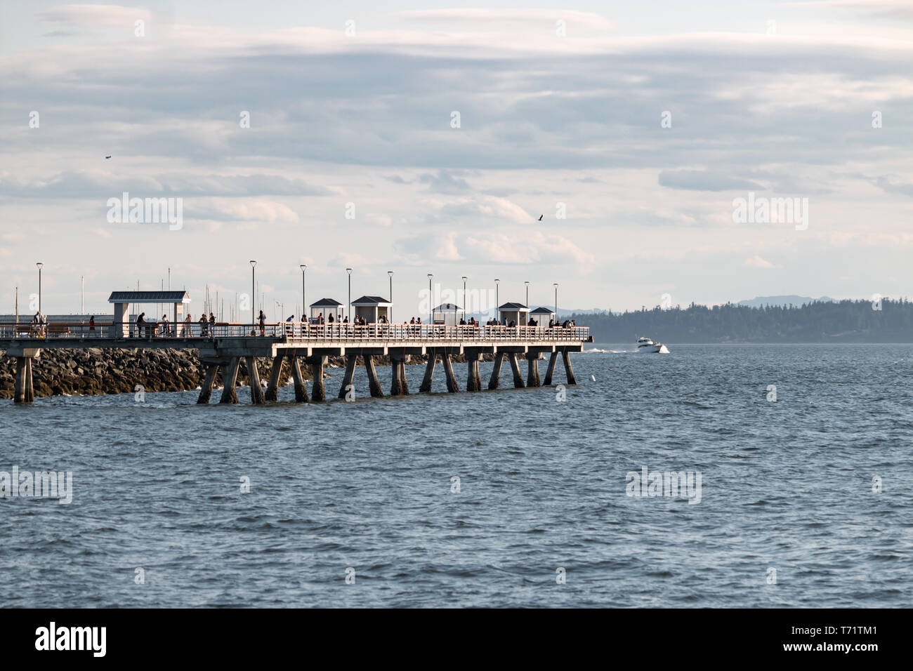 Un molo con i pescatori e i turisti sporge nella Puget Sound, nello stato di Washington. Foto Stock