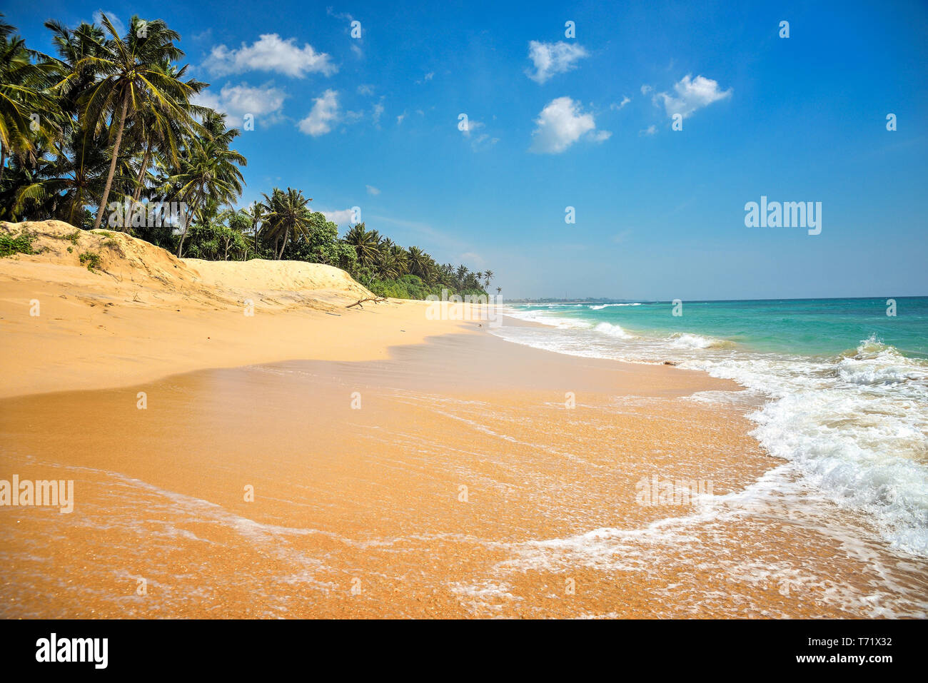 spiaggia tropicale Foto Stock