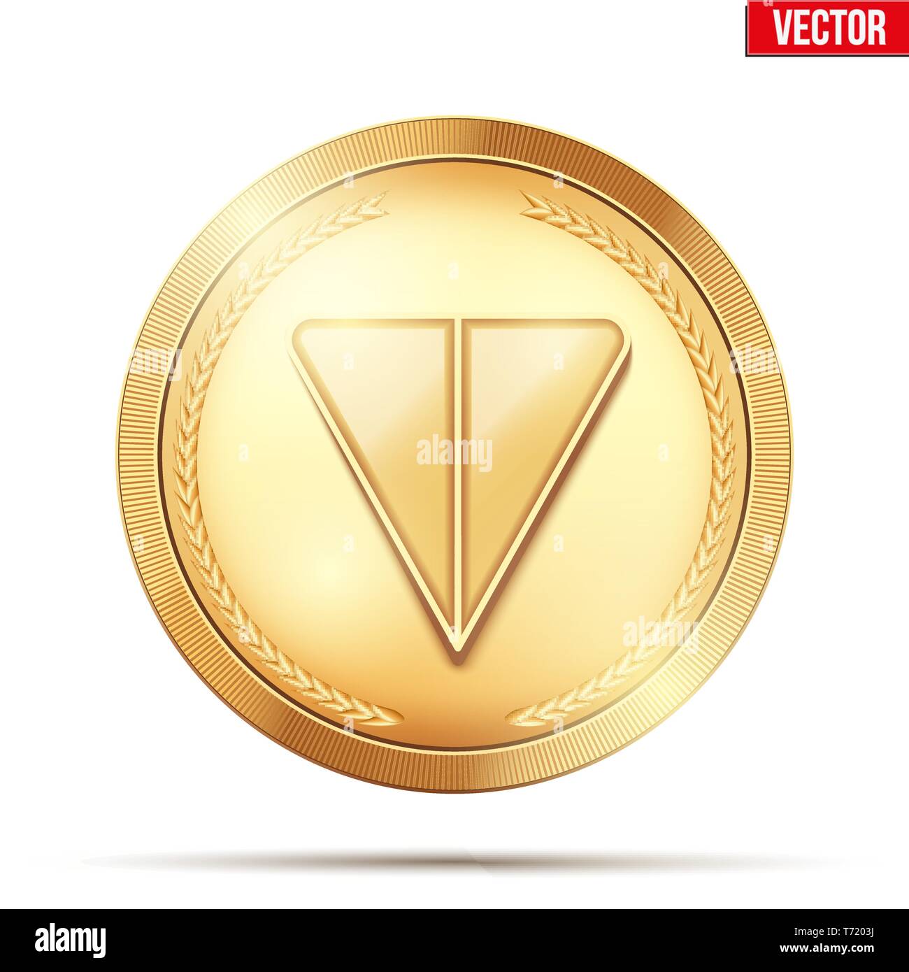 Crypto gold coin con ton segno. Illustrazione Vettoriale