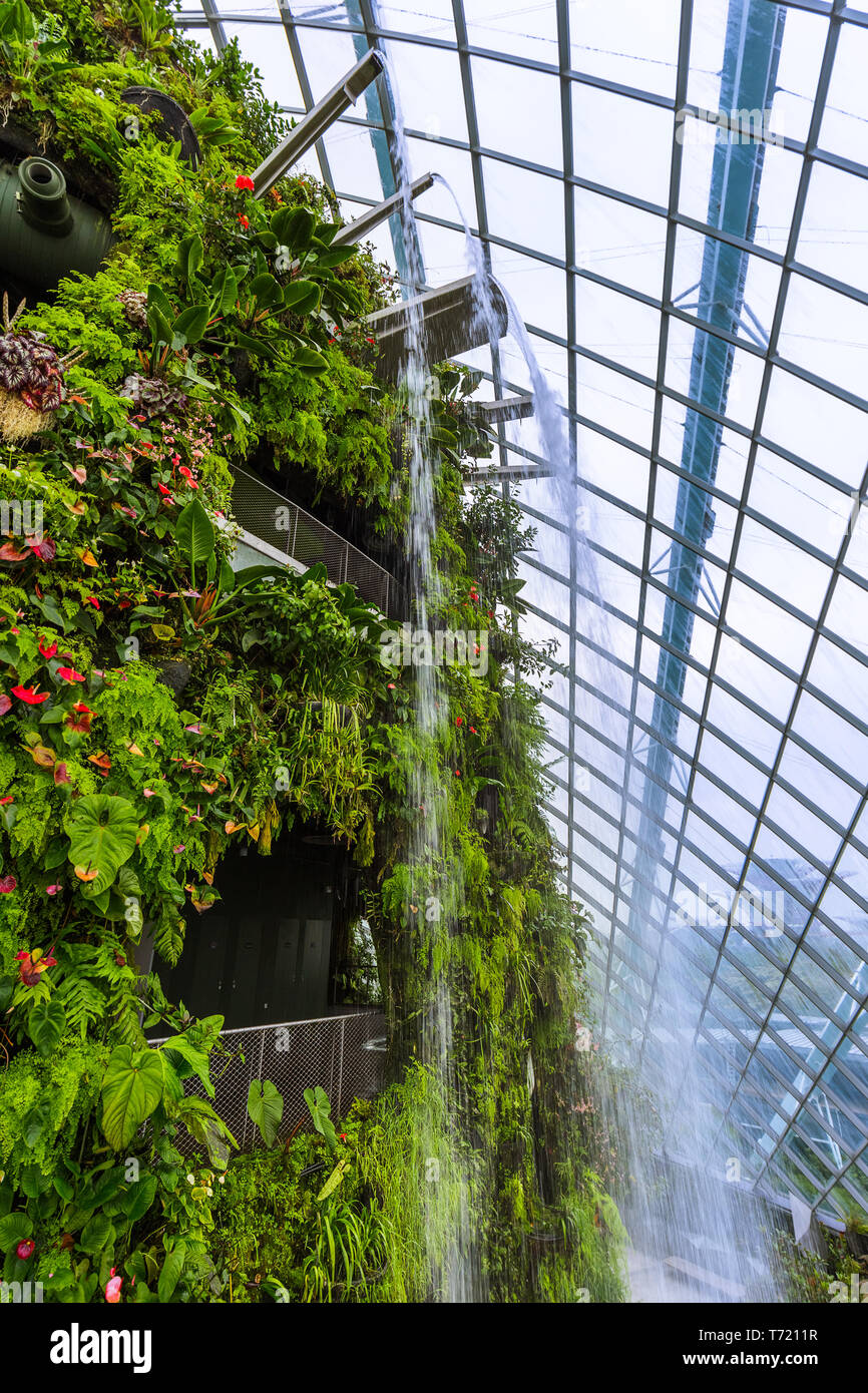 Cloud Forest cupola a giardini dalla Baia di Singapore Foto Stock