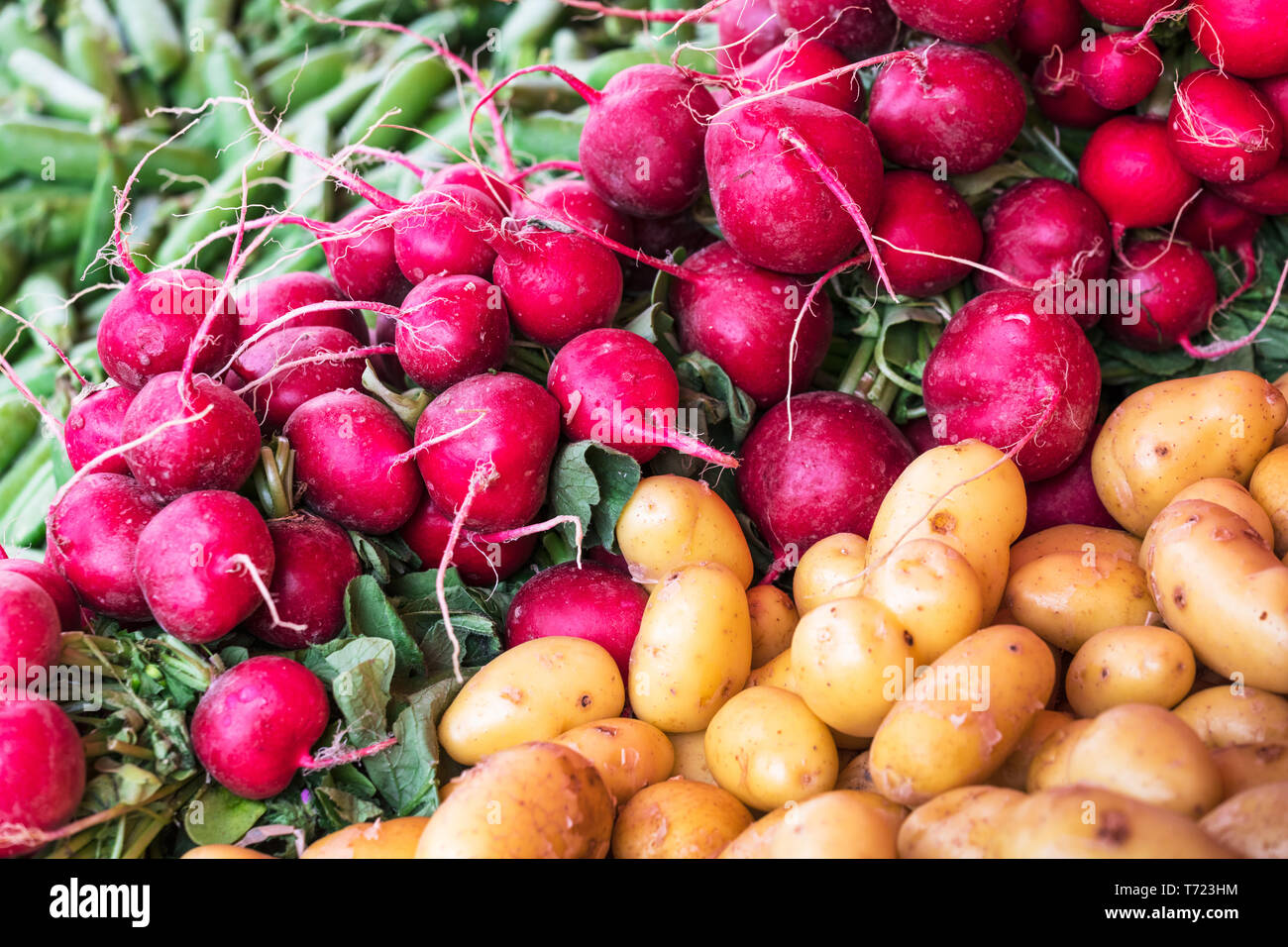 Il ravanello e patate Foto Stock