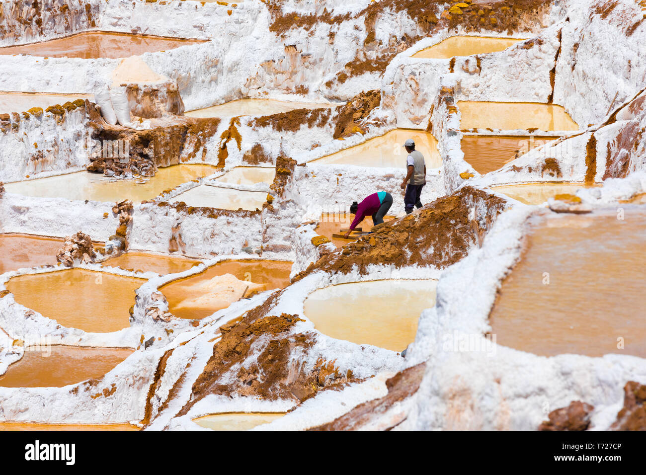 Sale la raccolta in bacini a terrazze di Moray Perù Foto Stock