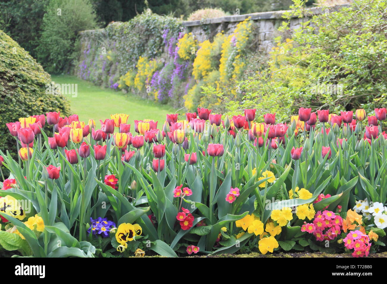 Tissington hall giardini in primavera, nei pressi di Ashbourne nel Parco Nazionale di Peak District, Derbyshire,l'Inghilterra, Regno Unito Foto Stock