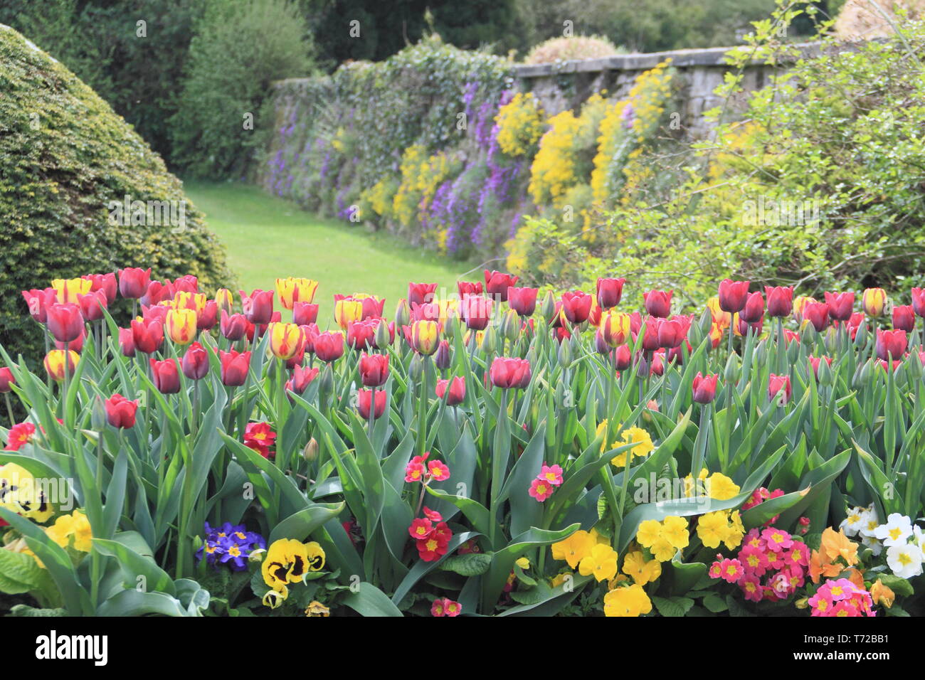 Tissington hall giardini in primavera, nei pressi di Ashbourne nel Parco Nazionale di Peak District, Derbyshire,l'Inghilterra, Regno Unito Foto Stock
