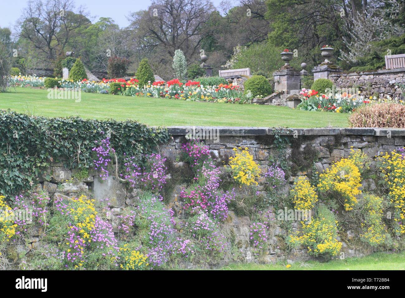Tissington hall giardini in primavera, nei pressi di Ashbourne nel Parco Nazionale di Peak District, Derbyshire,l'Inghilterra, Regno Unito Foto Stock