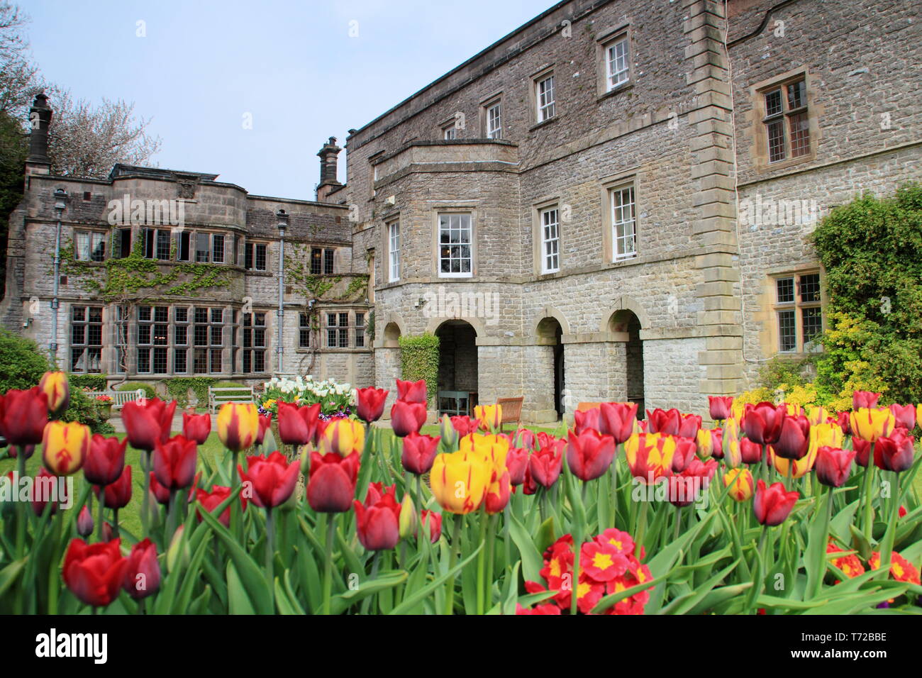 Tissington hall giardini in primavera, nei pressi di Ashbourne nel Parco Nazionale di Peak District, Derbyshire,l'Inghilterra, Regno Unito Foto Stock