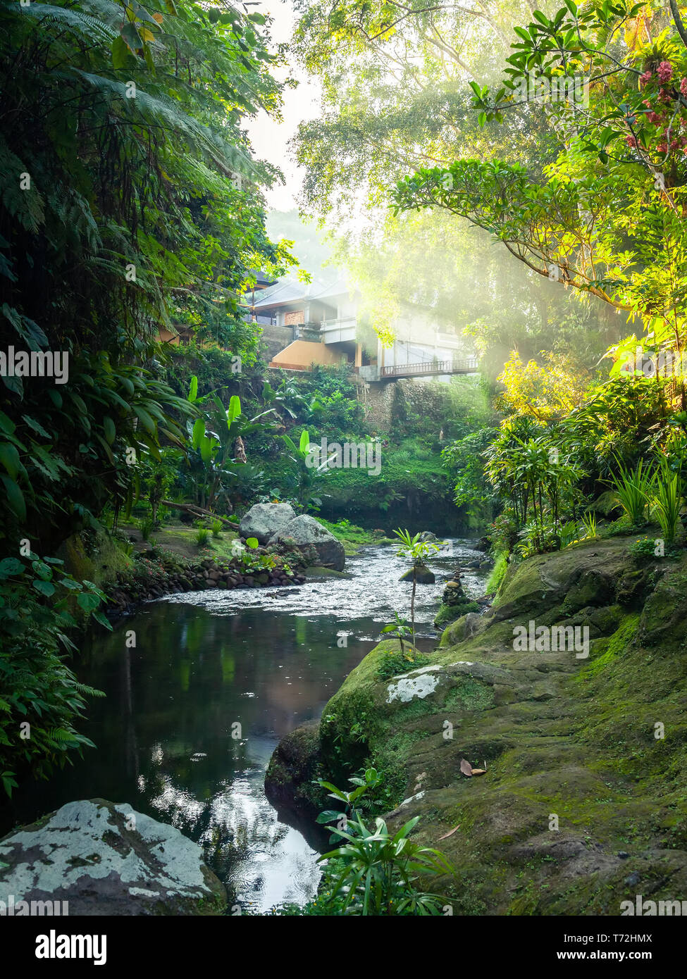 Verde e lussureggiante giardino con acqua in Bali Indonesia Foto Stock