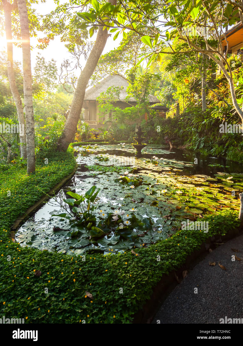 Laghetto e fontana in un giardino a Bali Indonesia Foto Stock
