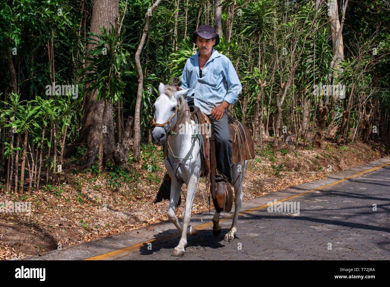 Cavallo e cavaliere che trasportano le banane da cuocere sull'isola vulcanica di Ometepe nel lago di Nicaragua, America Centrale Foto Stock