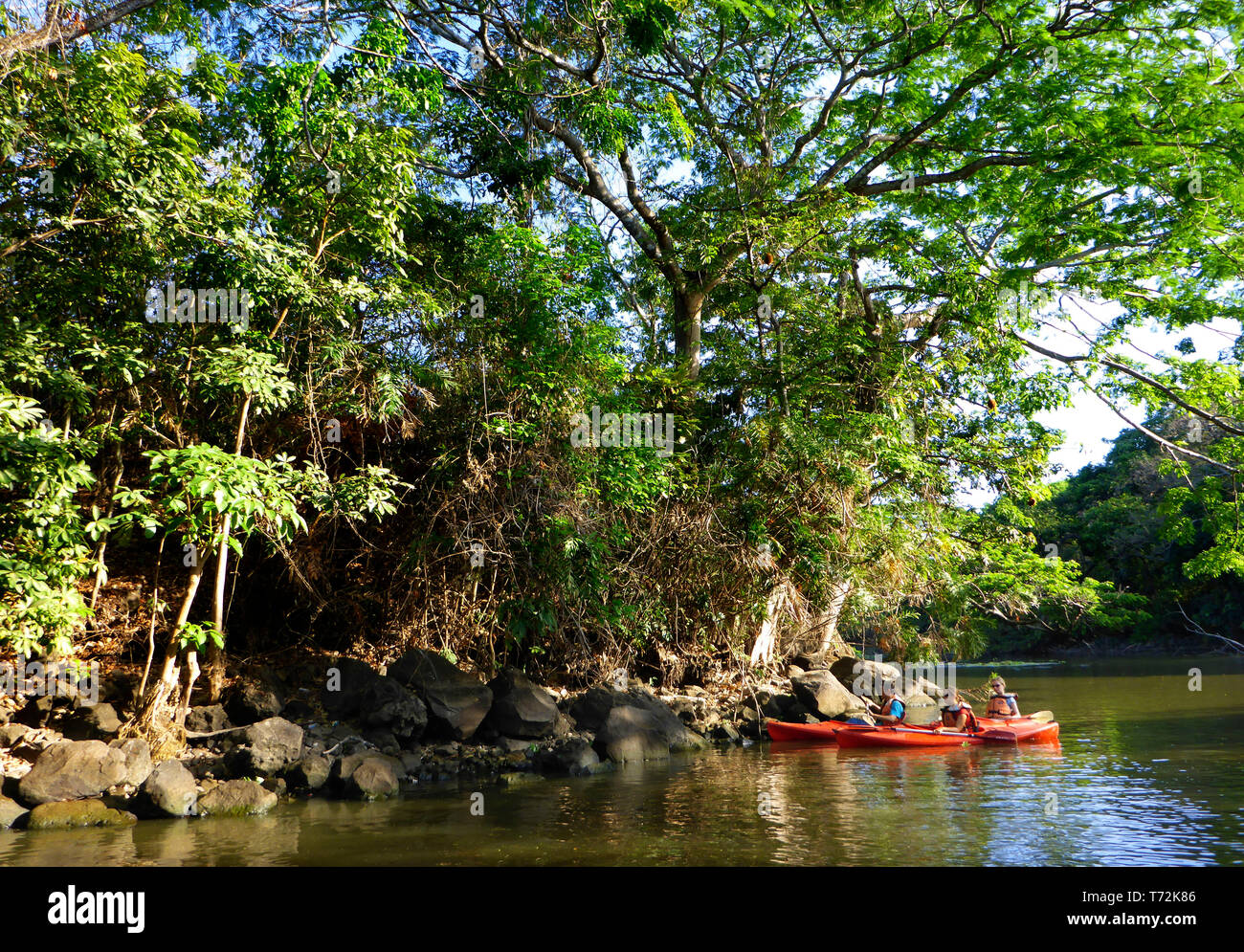 Fare kayak in Isletas de Granada, isole del Lago Nicaragua america centrale. Le isole vanno da pochi metri fino a più di un acro; molti di t Foto Stock