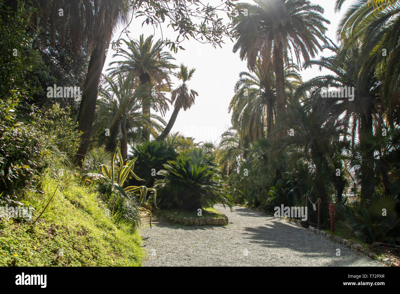 Il giardino di Villa Durazzo Pallavicini di Pegli, Genova, Italia Foto Stock