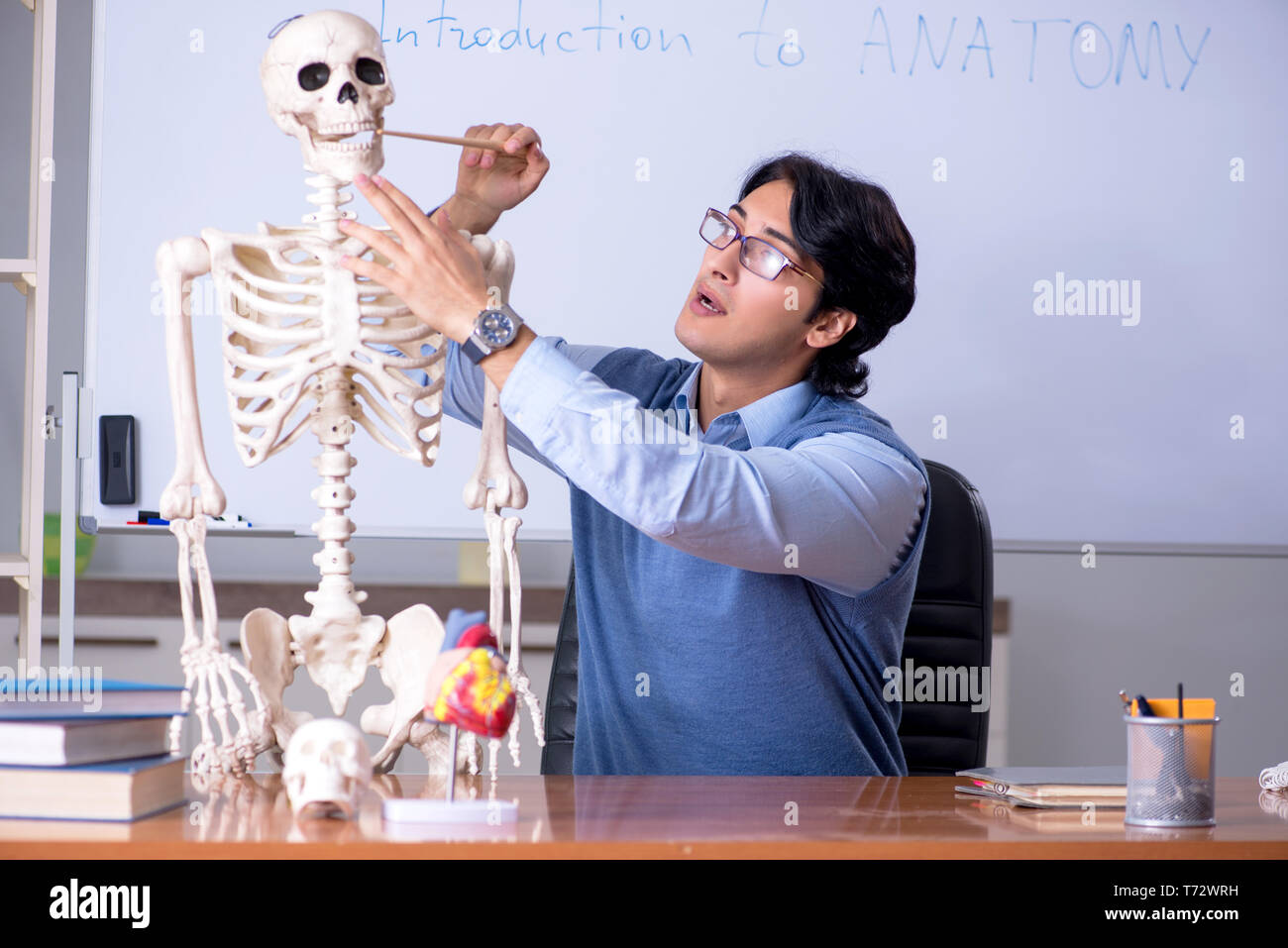 Giovane docente insegnante di anatomia di insegnamento Foto Stock