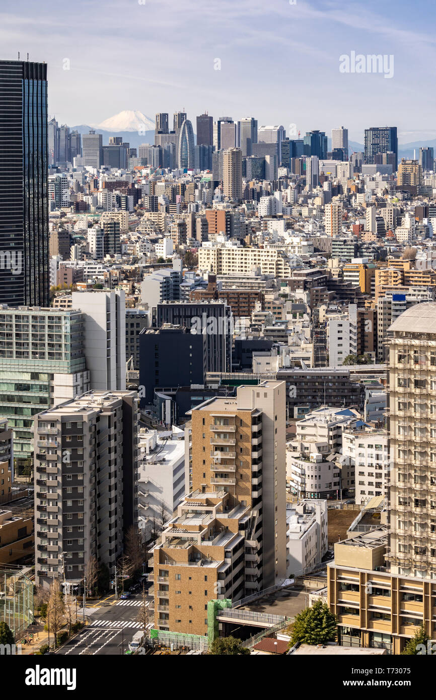 Monte Fuji con Tokyo dall'alto e grattacieli edifici di Shinjuku a Tokyo. Preso da Tokyo Bunkyo civic center observatory sky desk. Foto Stock