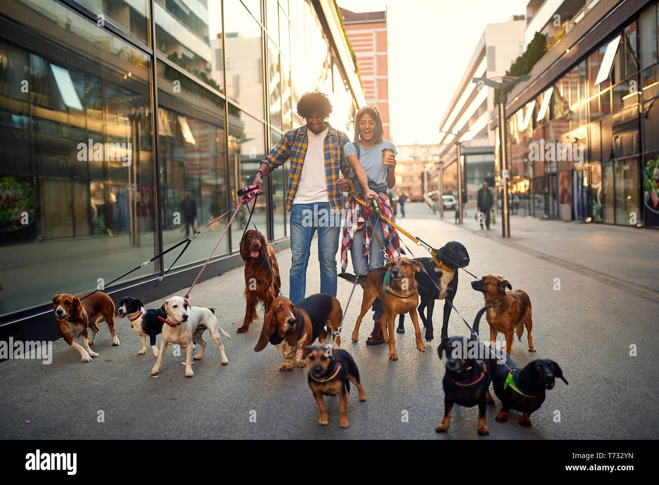 Sorridente coppia professionale dog walker in strada con un sacco di cani Foto Stock