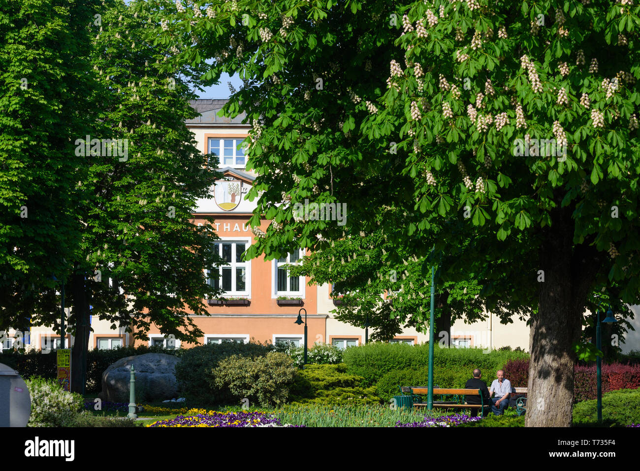 Sollenau: Municipio di Wienerwald, Vienna Woods, Niederösterreich, Austria Inferiore, Austria Foto Stock