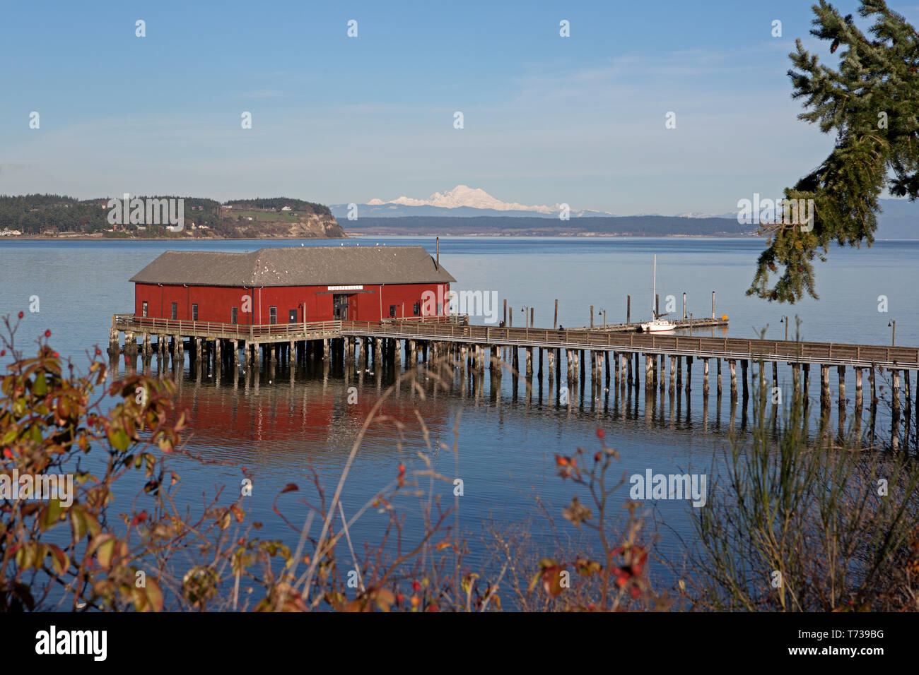 Pontile con shed, Coupeville Washington STATI UNITI D'AMERICA Foto Stock