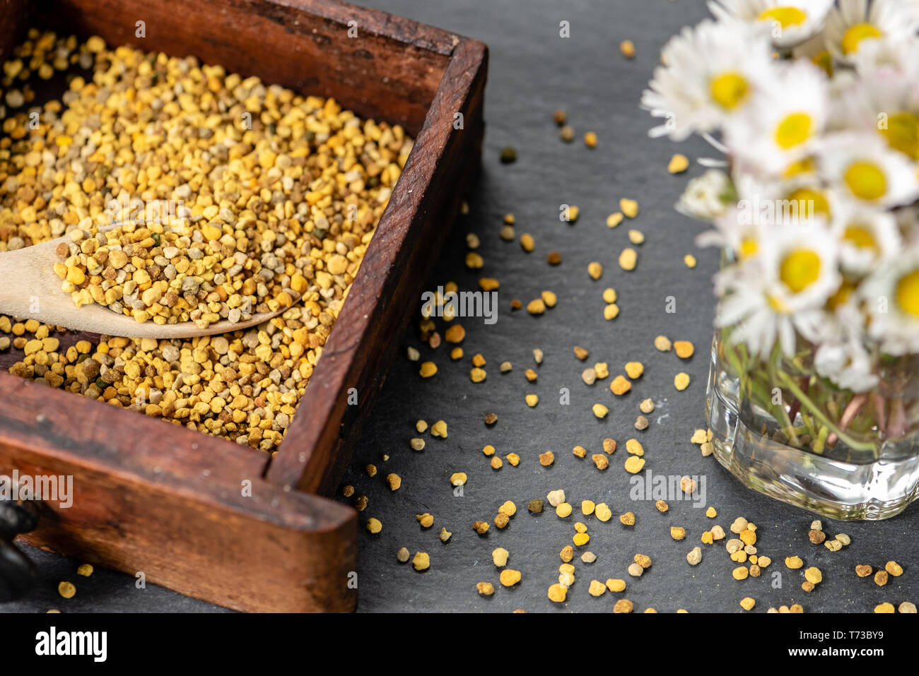 Piccola scatola di legno con un cucchiaino pieno di polline su una scheda di ardesia con fiori, margherite e tarassaco, su una scheda di ardesia Foto Stock