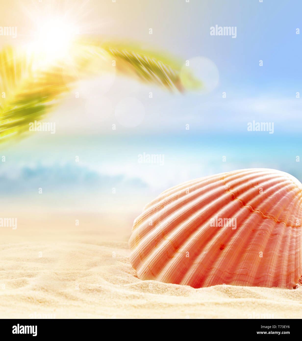 Summer Beach. Conchiglia su una spiaggia di sabbia e il cielo come sfondo. Foto Stock