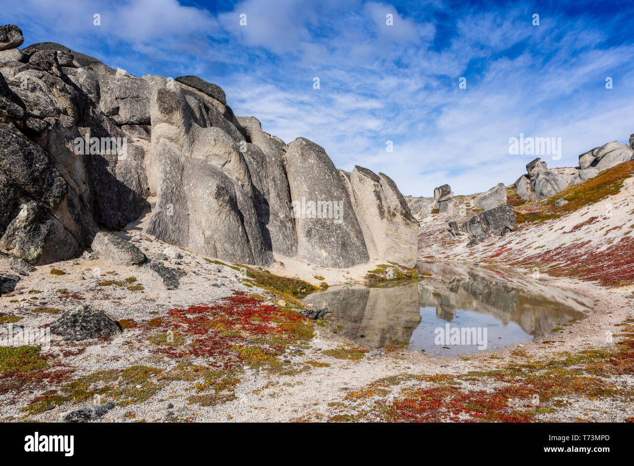 Rocce giganti riflettono in stagno lungo il crinale Kesugi Trail, Denali State Park in autunno, sud-centrale; Alaska Alaska, Stati Uniti d'America Foto Stock