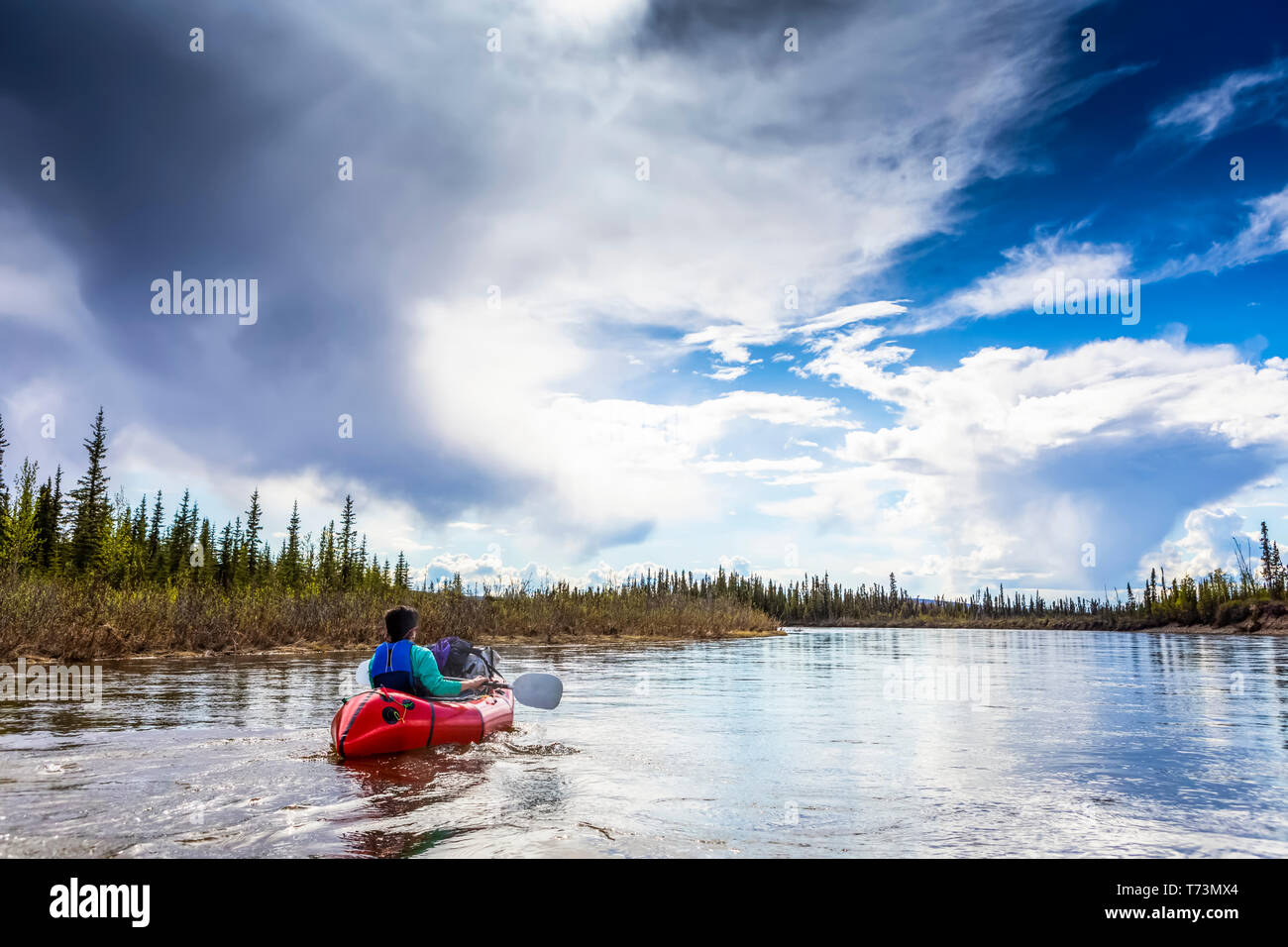 Donna packrafting giù Beaver Creek, Nazionale Wild e Scenic Fiumi Sistema, White Mountains National Recreation Area, Interior Alaska Foto Stock