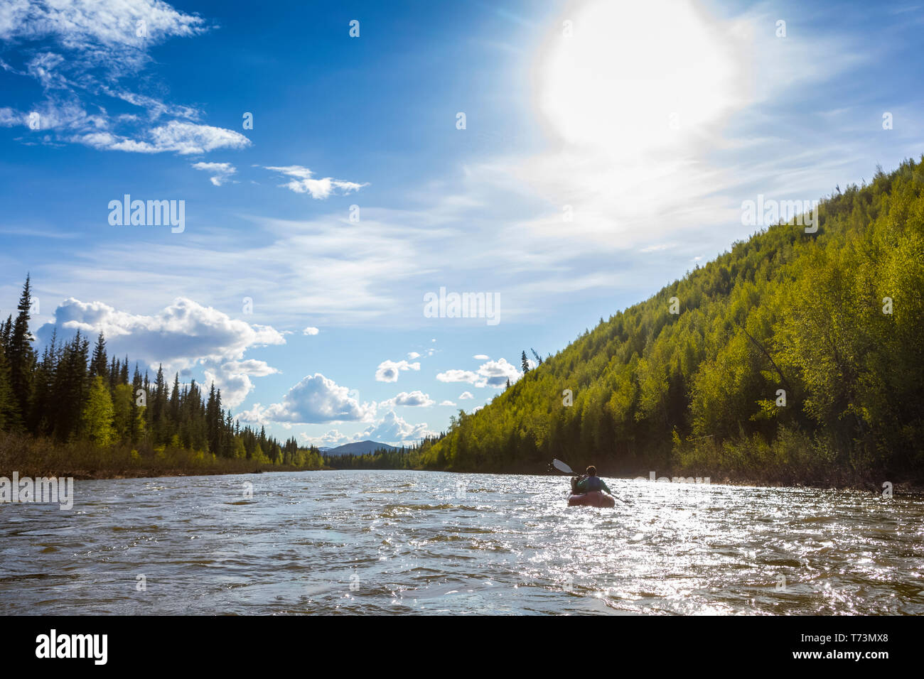 Donna packrafting giù Beaver Creek, Nazionale Wild e Scenic Fiumi Sistema, White Mountains National Recreation Area, Interior Alaska Foto Stock