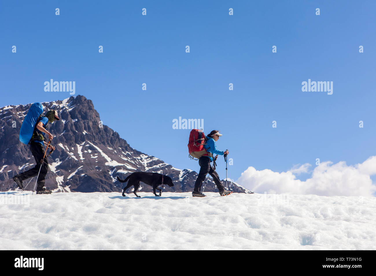 Giovane e il loro cane backpacking sul ghiacciaio Kennicott, Wrangell Mountains, Wrangell-St. Elias National Park, il centro-sud della Alaska Foto Stock