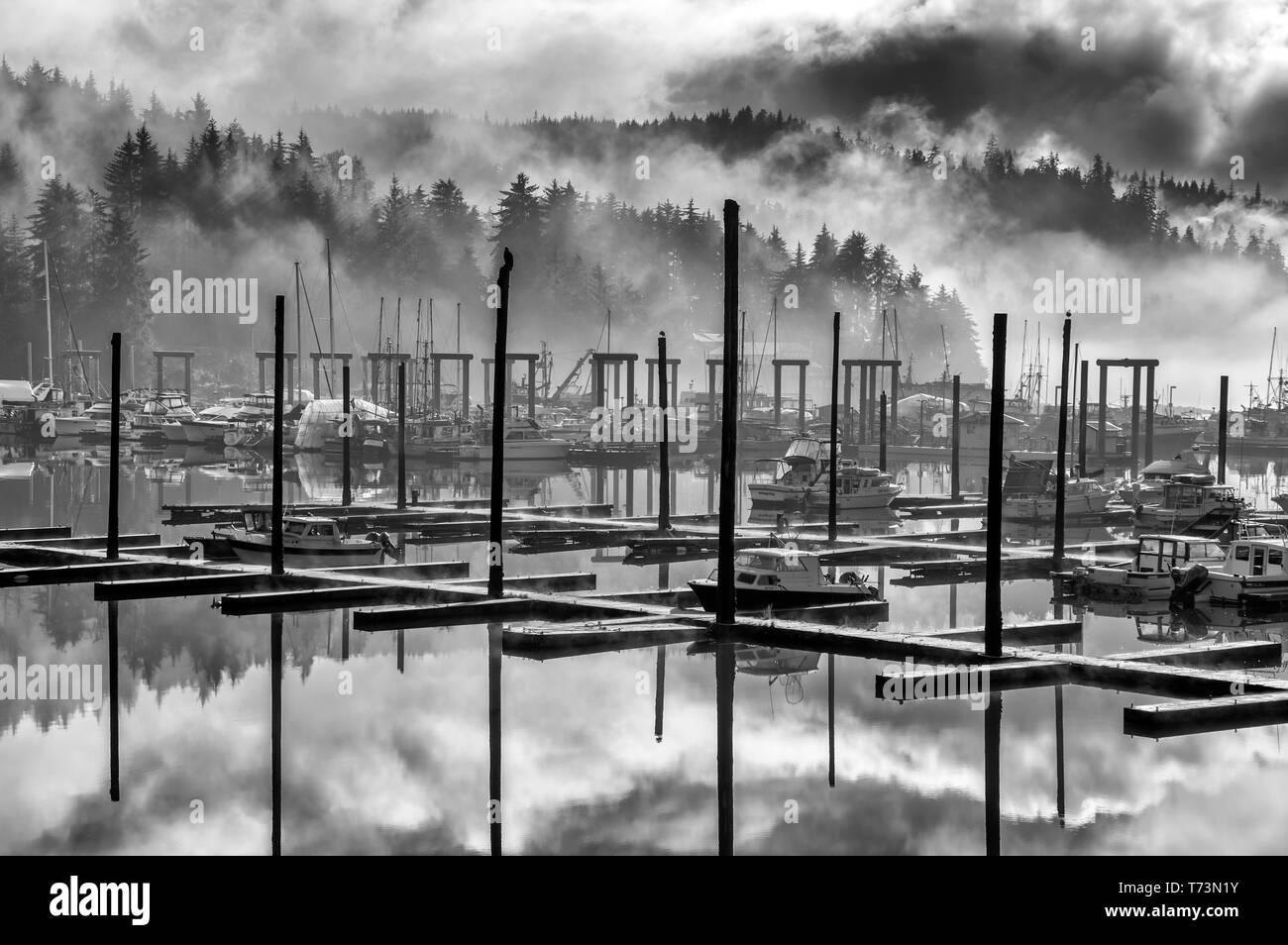 In bianco e nero di scenic Auke Bay Harbour su un nebbioso giorno, Alaska sudorientale; Juneau, Alaska, Stati Uniti d'America Foto Stock