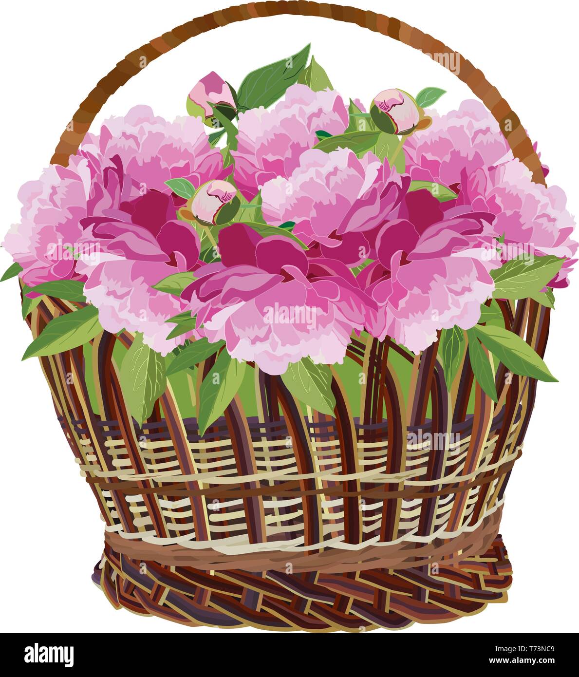 Cesto in Vimini con fiori di peonia, vettore illustrazione isolato Illustrazione Vettoriale