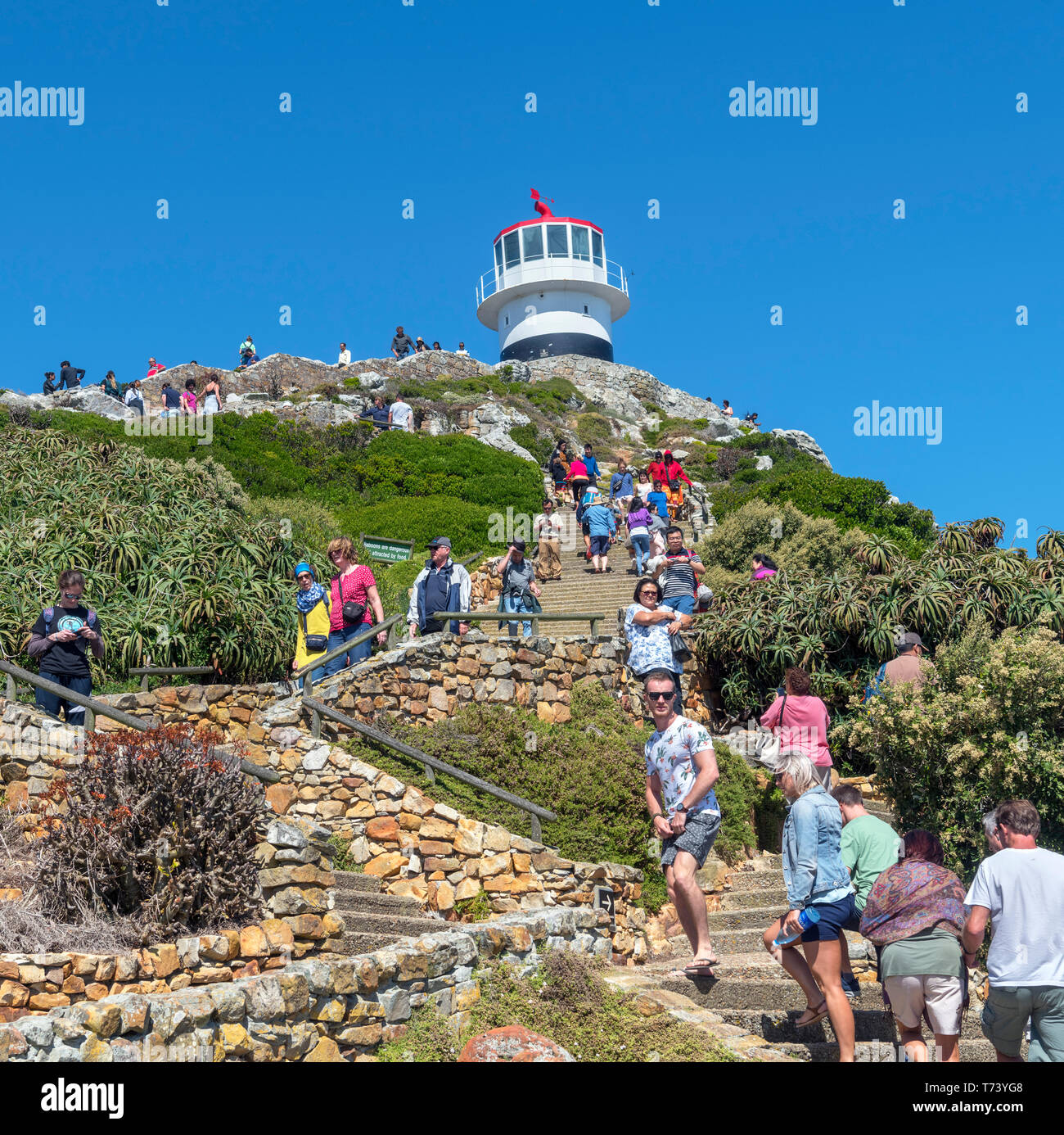 I turisti salendo la scalinata fino alla vecchia Cape Point Lighthouse, Capo di Buona Speranza, Western Cape, Sud Africa Foto Stock