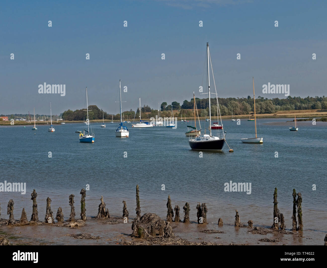 Il fiume Deben a Woodbridge, uno dei più raffinati estuari fluviali in Inghilterra, con molte barche a vela, Woodbridge, Suffolk, Inghilterra, Regno Unito, Foto Stock