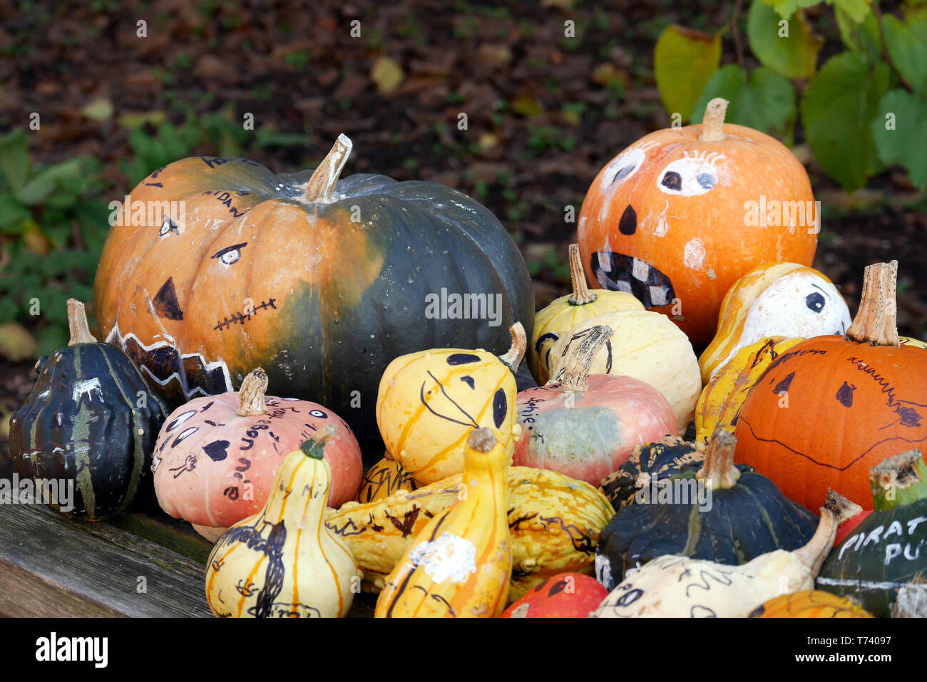 Un assortimento di zucche autunnali, zucche e zucche, con varie facce dipinte. Foto Stock