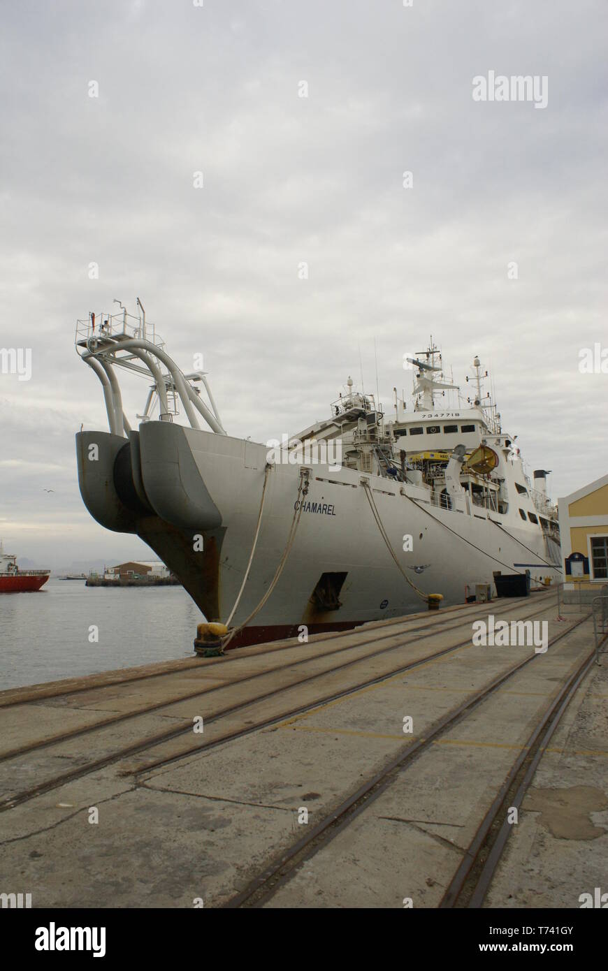 Cavo Chamarel nave al molo nel bacino di Victoria, Cape Town port. Sud Africa. Foto Stock