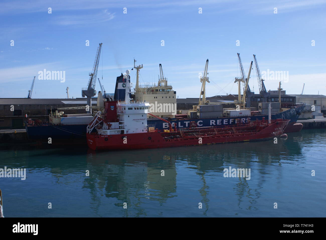 Il bunker Reefer nave in porto, Duncan Dock, Cape Town Harbour. Sud Africa. Foto Stock