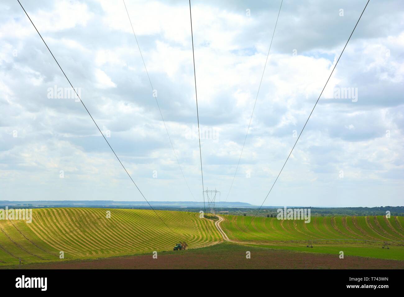 Un campo verde, un pilone di elettricità e cavi ad alta tensione Foto Stock