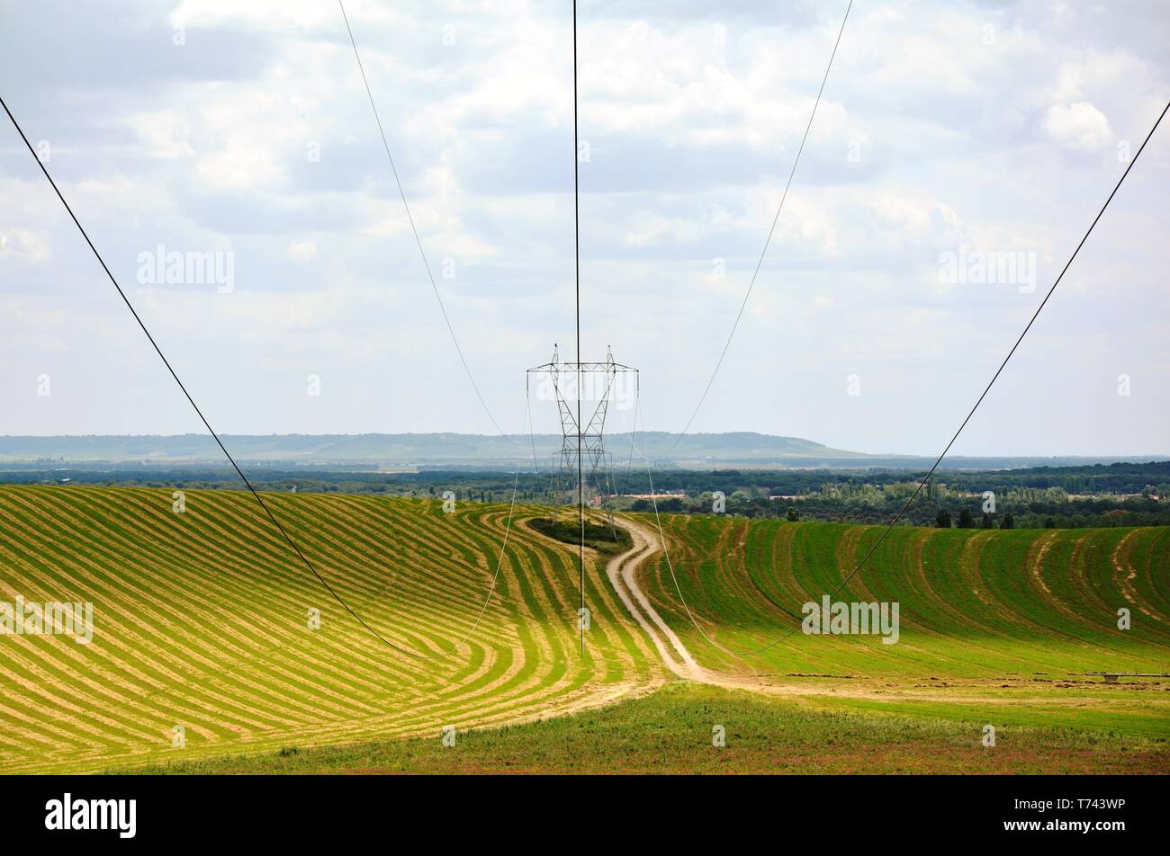 Un campo verde, un pilone di elettricità e cavi ad alta tensione Foto Stock
