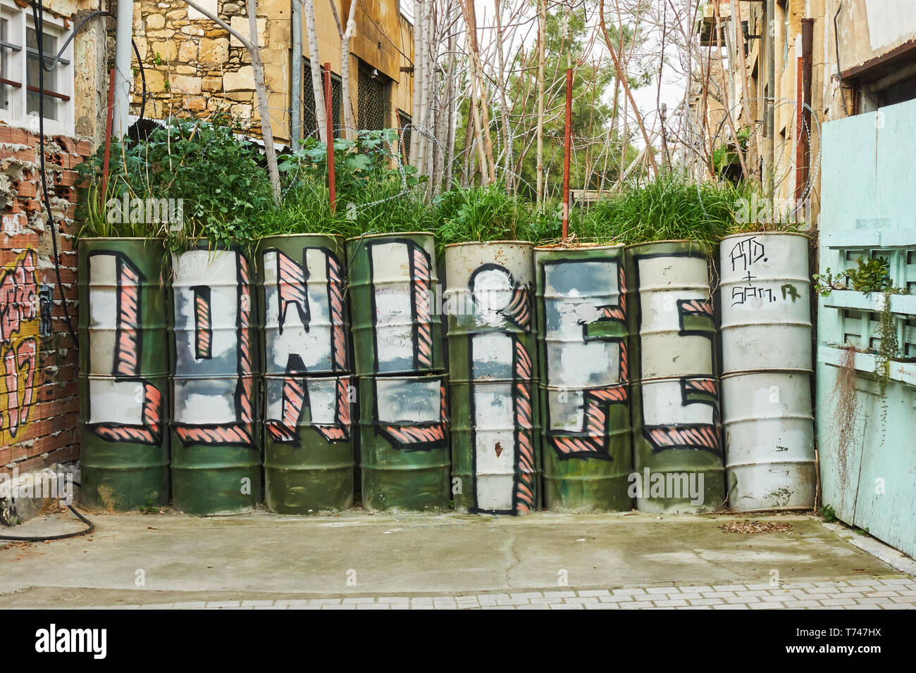 Nicosia, Cipro - 25 Gennaio 2019: barili con graffiti della linea verde - zona di buffer tra greco e turco di parti di città, Nicosia (Lefko Foto Stock