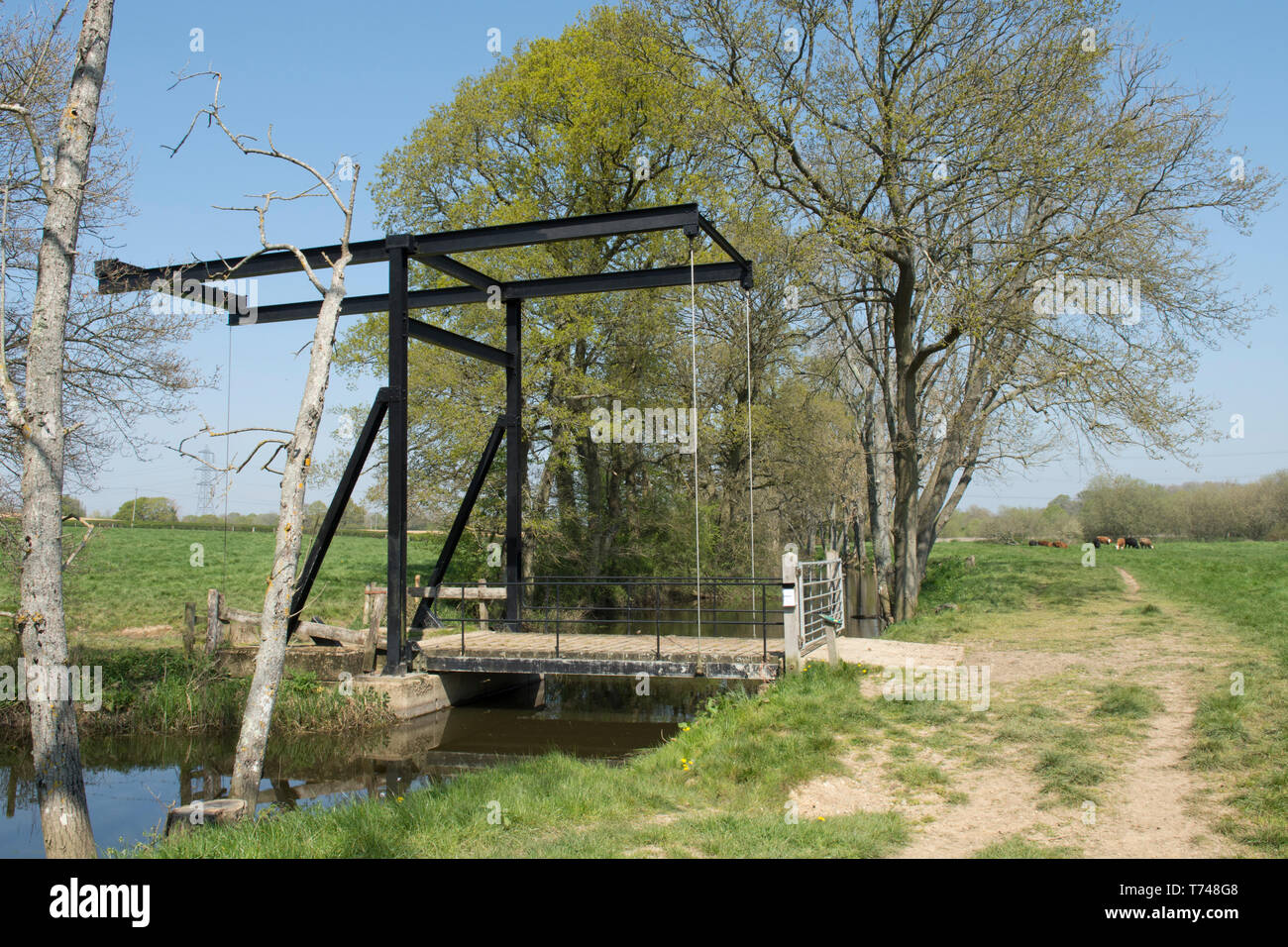 Northlands ponte di sollevamento, oltre la Wey in disuso e Arun Junction Canal, Sussex, Regno Unito. Aprile Foto Stock