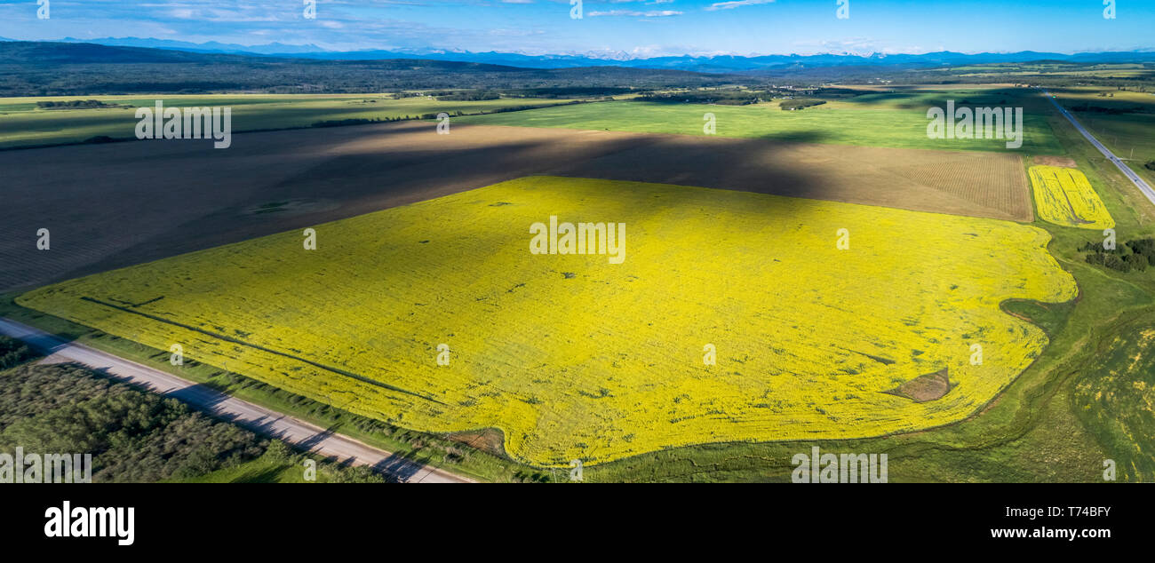 Vista aerea di fioritura canola field con lacunose nuvole shadowing i campi e le montagne e il cielo blu in background Foto Stock