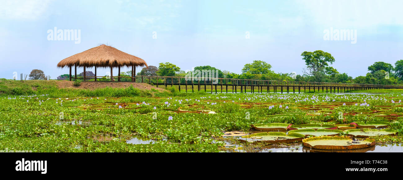 Hotel Porto Jofre; Pantanal, Brasile Foto Stock