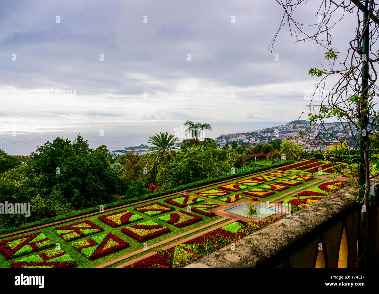 Aiuole in i giardini botanici di Madeira; Funchal, Madeira, Portogallo Foto Stock