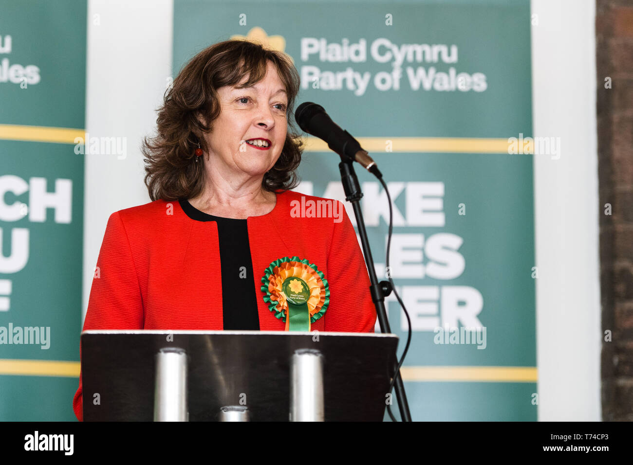 Jill Evans europarlamentare - Plaid Cymru membro del Parlamento europeo per il Galles Foto Stock