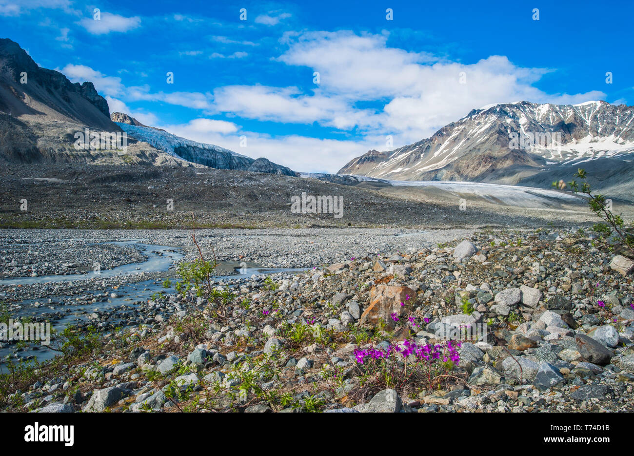 Ghiacciaio Gulkana in una valle dell'Alaska Range in un assolato pomeriggio estivo; Alaska, Stati Uniti d'America Foto Stock