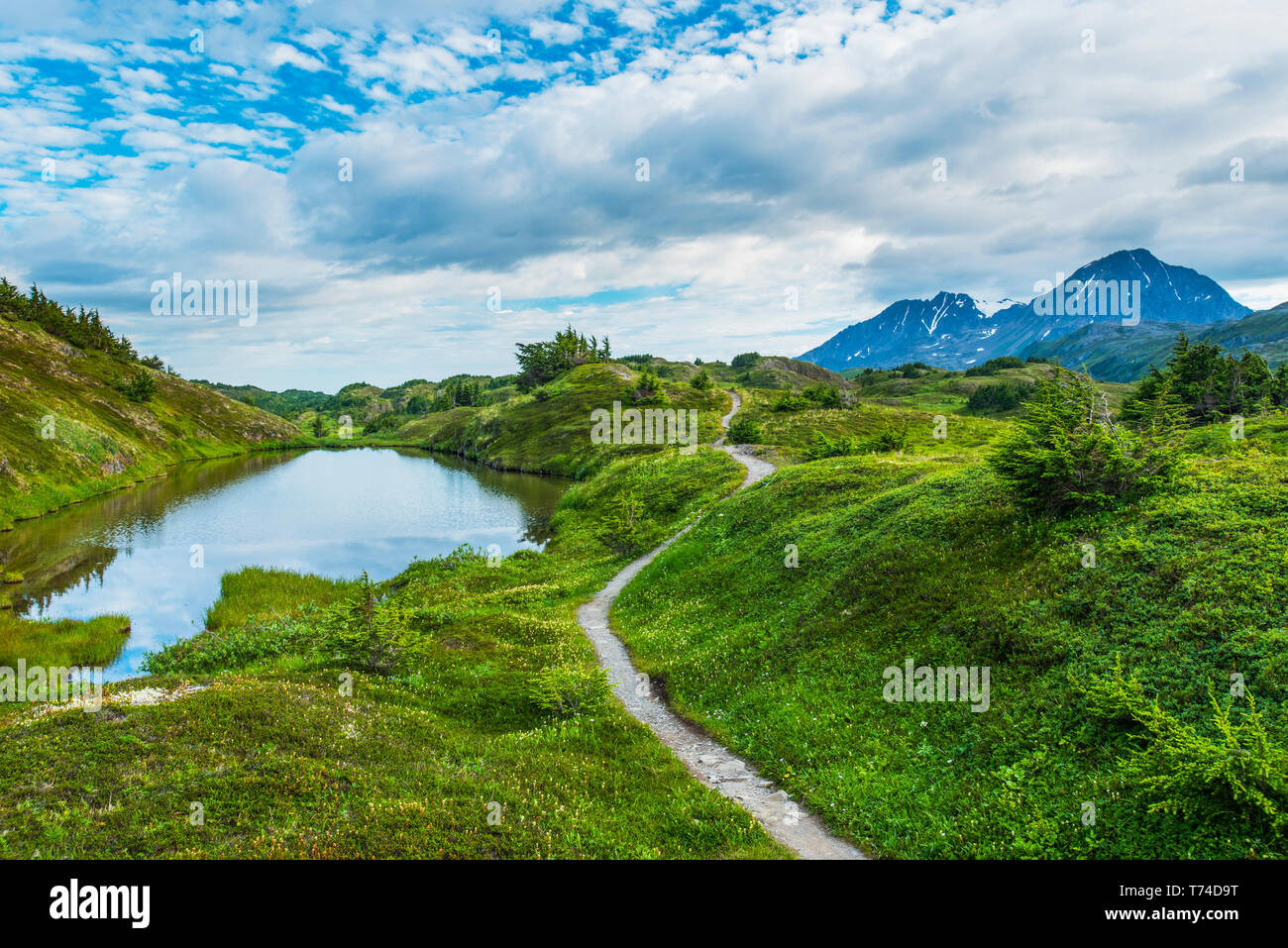 Il sentiero che porta al lago perduto, un popolare per le escursioni e il ciclismo destinazione in alto nelle montagne della Penisola di Kenai, vicino a Seward Foto Stock