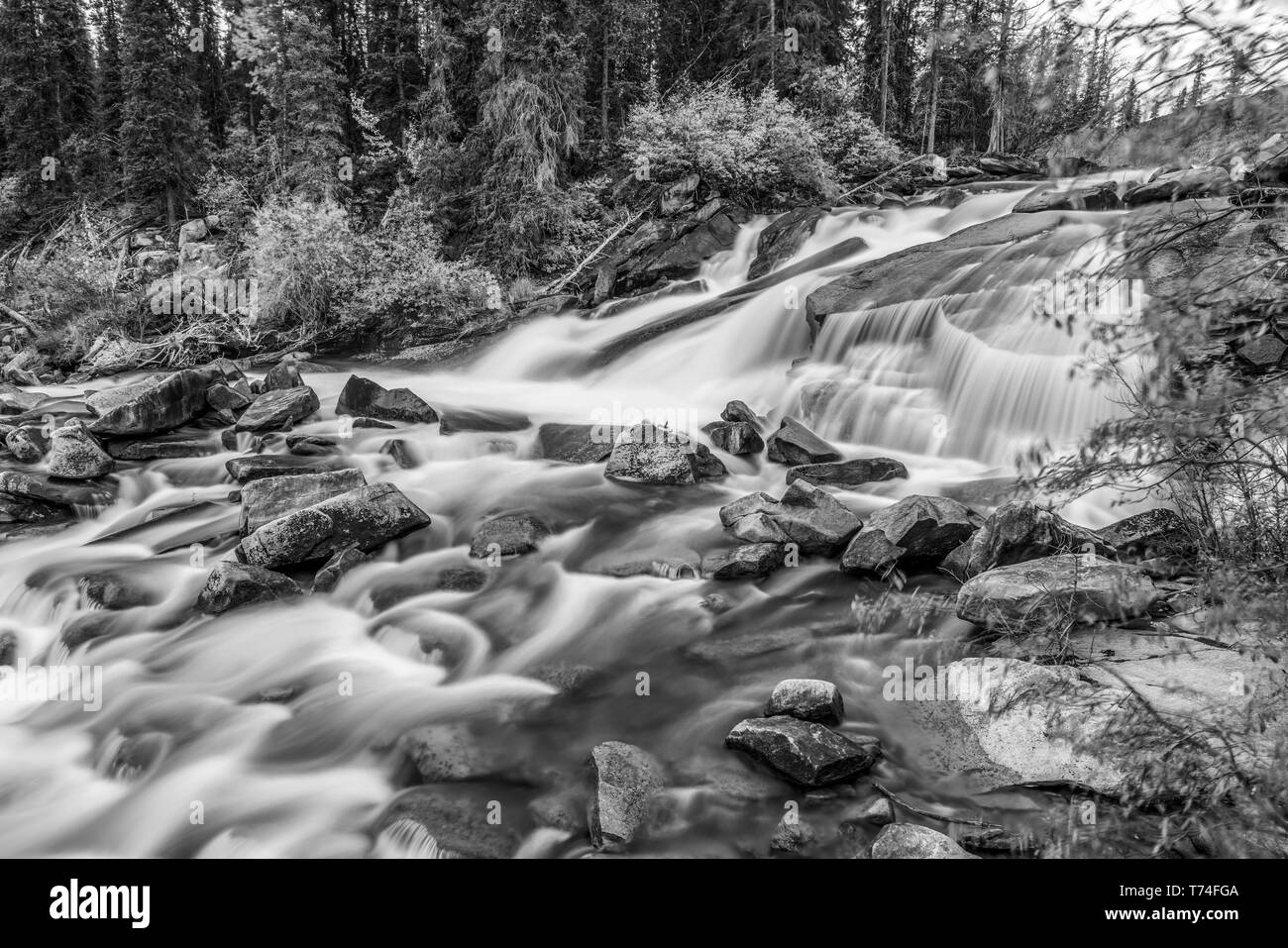 Otter Falls, immagine dal territorio dello Yukon sull'originale Canadian Dollar bill; Yukon, Canada Foto Stock