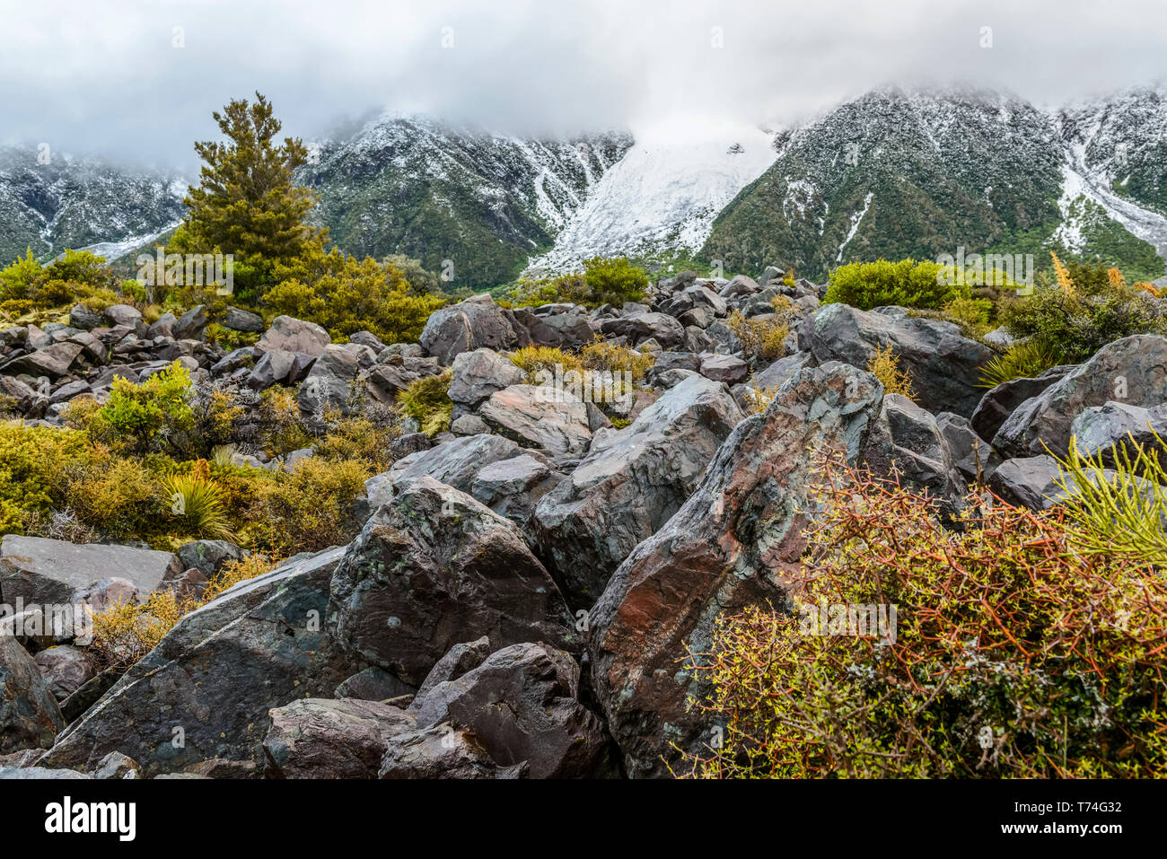 Roccia e vegetazione lungo Hooker Valley via, parco nazionale di Mount Cook; Isola del Sud, Nuova Zelanda Foto Stock
