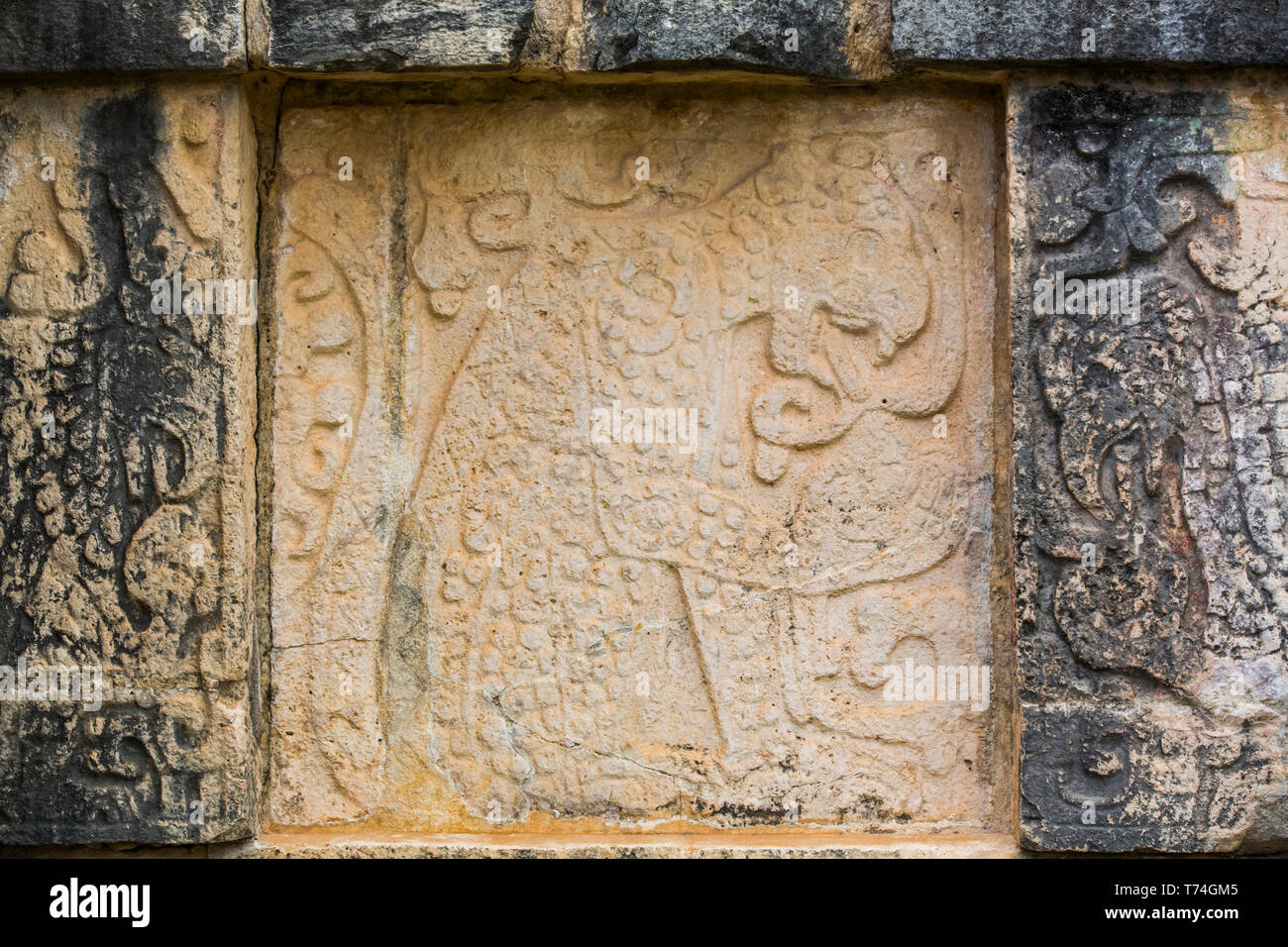 Sculture, piattaforma di aquile e giaguari, Chichen Itza, Sito Patrimonio Mondiale dell'UNESCO; Yucatan, Messico Foto Stock